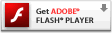 下载安装 Adobe Flash 播放器